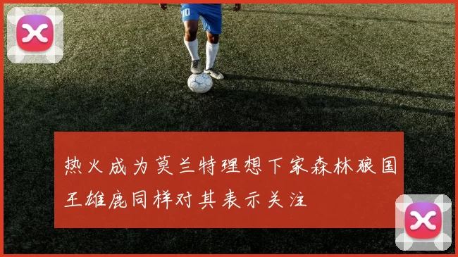 热火成为莫兰特理想下家森林狼国王雄鹿同样对其表示关注